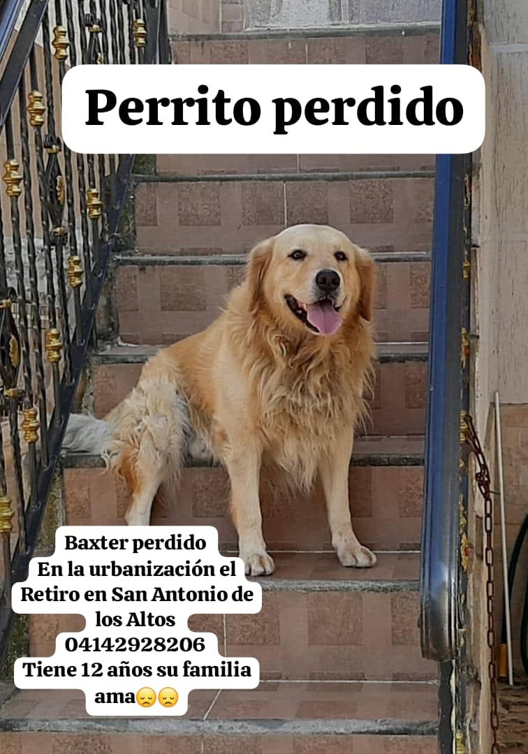 #SanAntonioDeLosAltos
#UrbElRetiro
🚨🚨🚨SE BUSCA🚨🚨🚨
Por favor difundir💔🥹
Gracias🇻🇪🤗
