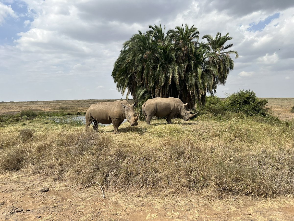 Jefferson Interventional Radiology tweet media