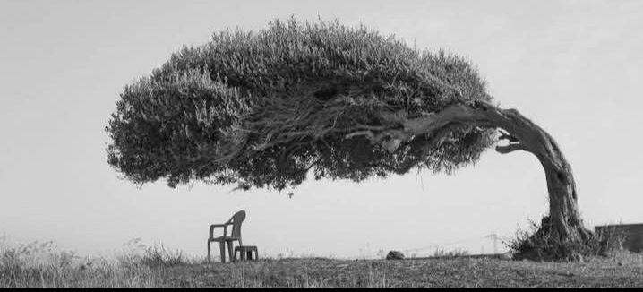 الحَياة ليسَت صِراعََا للفَوز بَل طريقٌ للنَّجاة