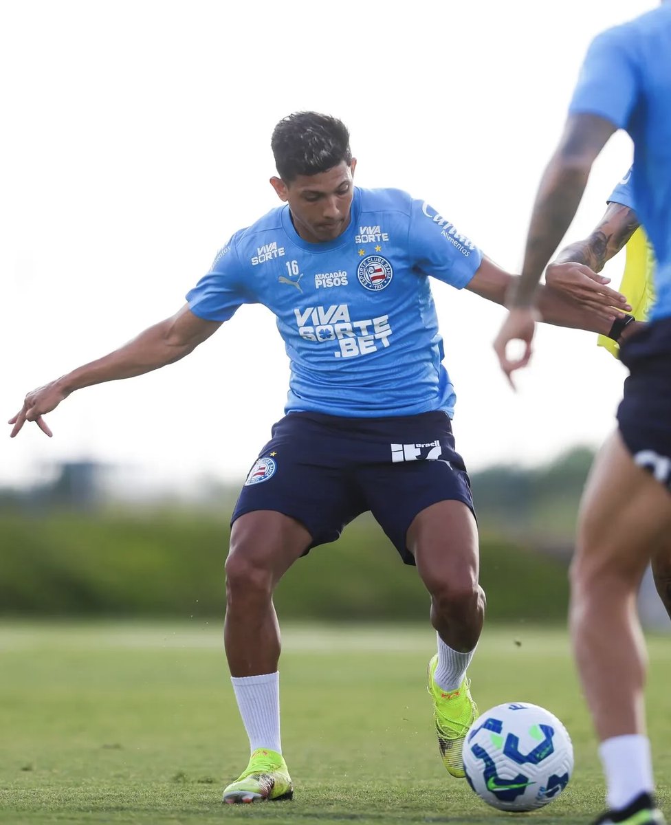 PULGUINHA ESTÁ DE VOLTA! 💙