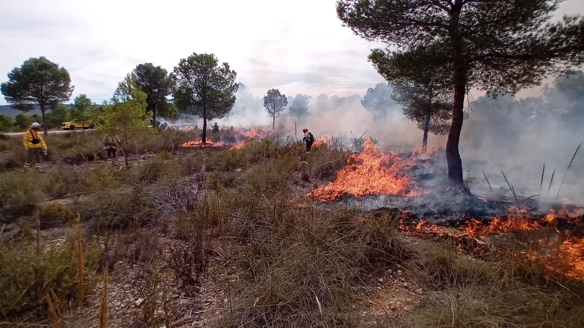 <a href="/Aivanyeste/">A.Ivan.Yeste</a> Encantado de compartir 💪. #RXFire es un excelente herramienta de gestión y entrenamiento.
Ahí pude captarte.
Saludos