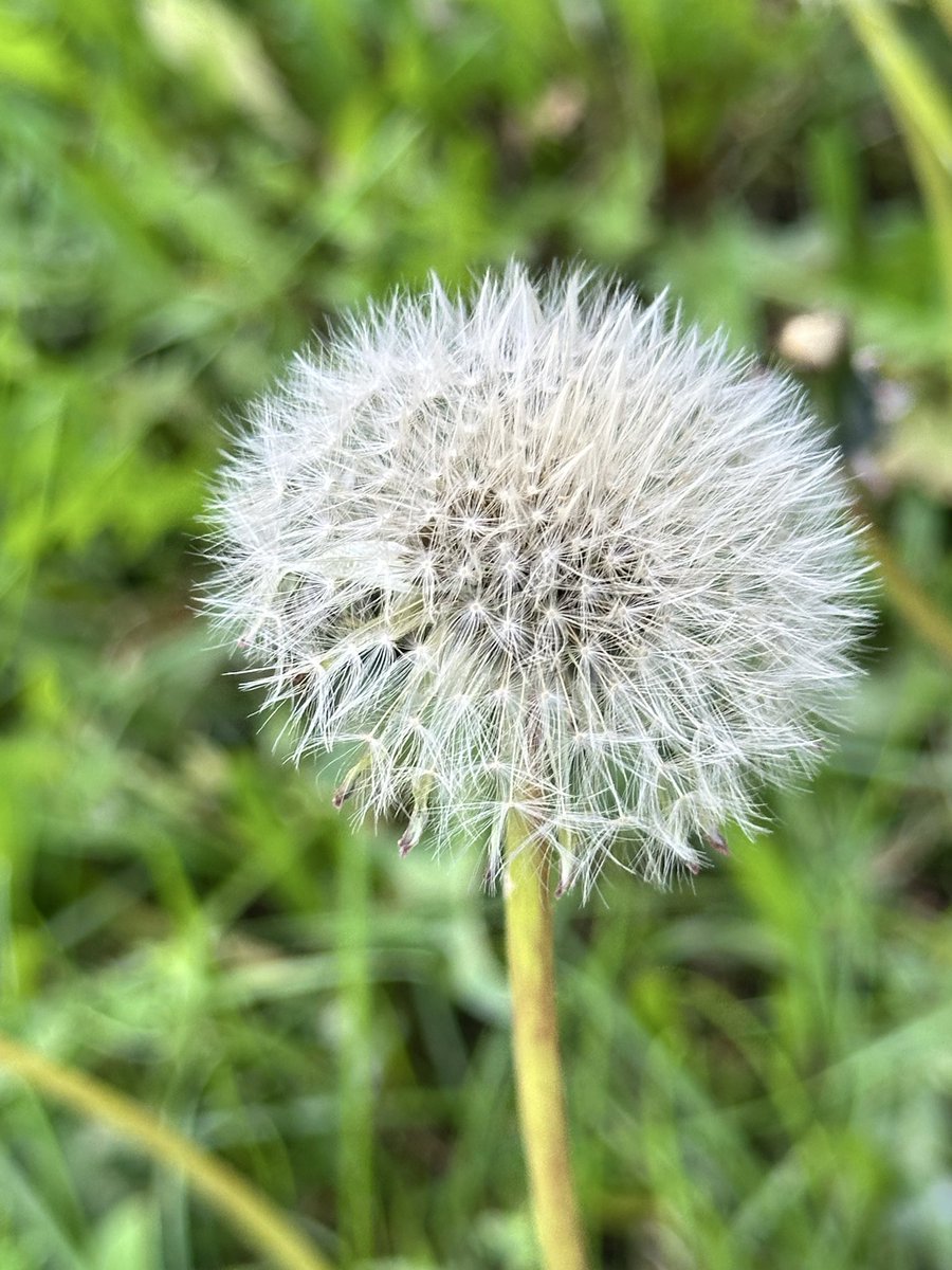 Futboldaki YAPININ resmi yavaş yavaş belirmeye başladı sanırım…. Meğer adamlar hepimizle dalga geçiyorlarmış