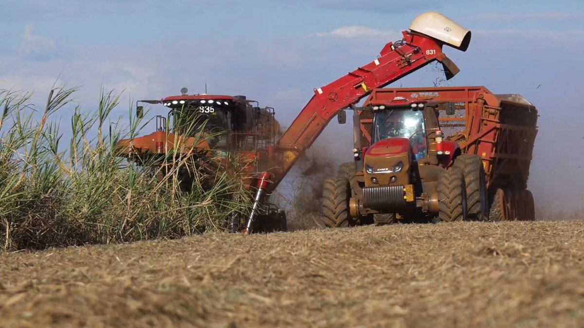 CNHIndustrial's tweet photo. 🌱 In our eleventh edition of A Sustainable Year, CNH is powering sugarcane harvesting with 100% ethanol engines — a bold step for clean energy in agriculture.
🔗 Read more: https://t.co/iOPa7j1cDy
#CNH #CNHIndustrial #CaseIH #EthanolPower #SustainableFarming #ASustainableYear #CleanEnergy #InnovationInAg