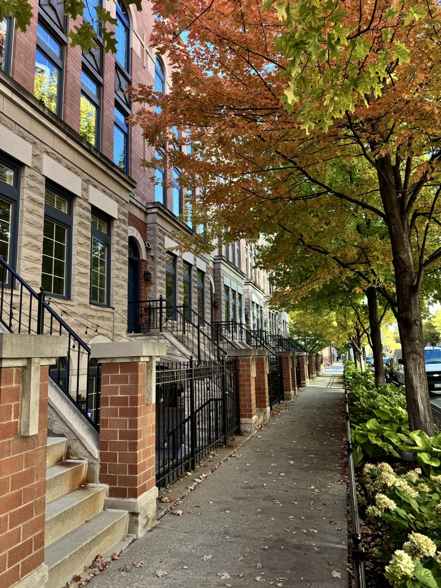 Joseph Miscimarra 🇺🇸 tweet media