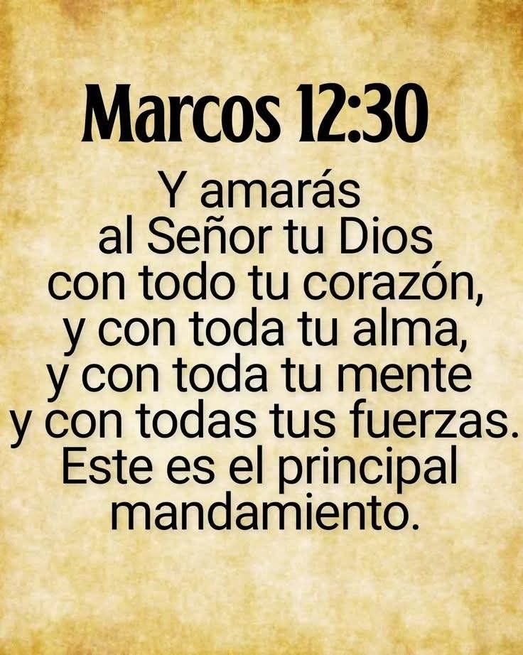 elena70414340's tweet image. 