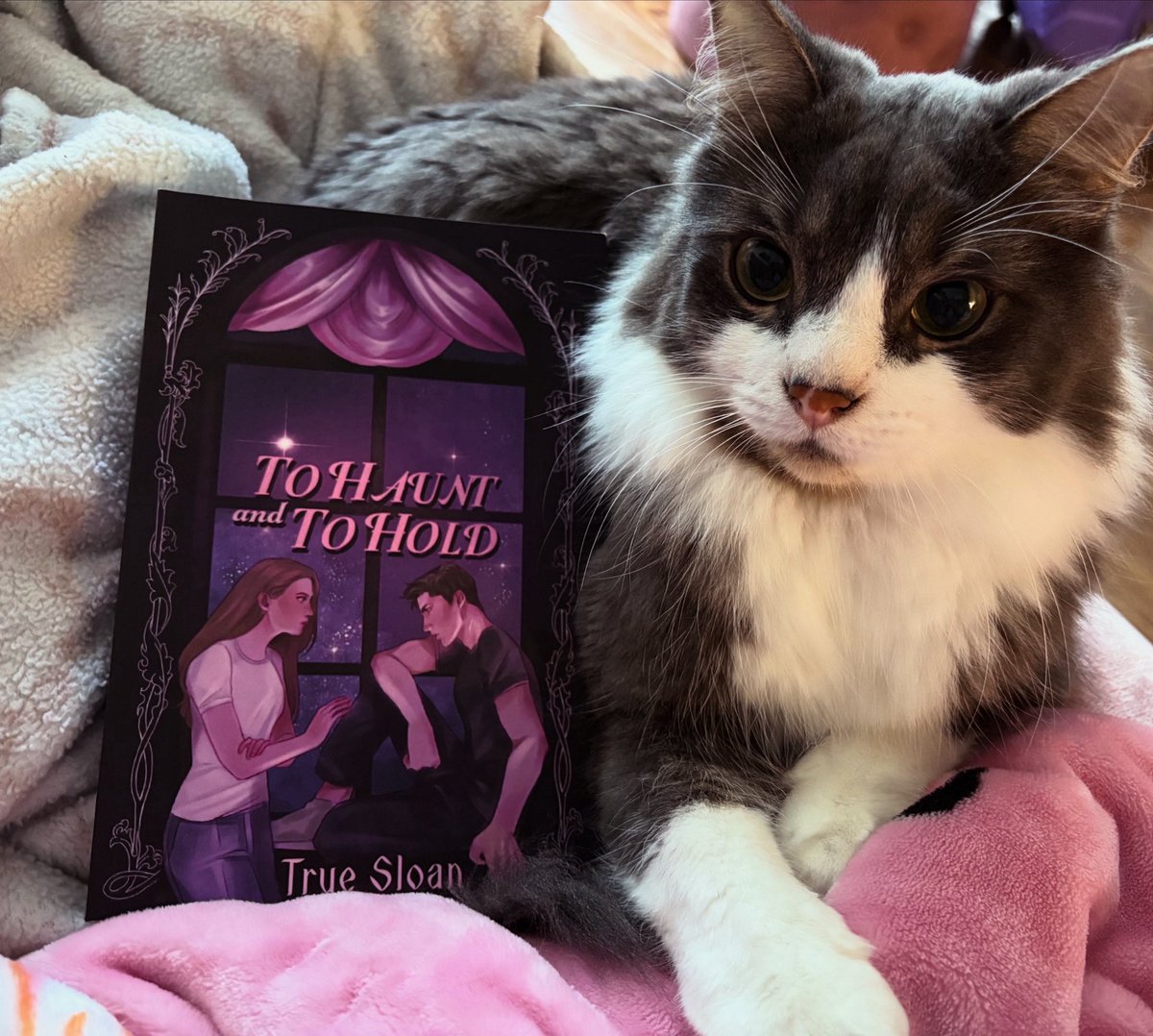 TrueSloan's tweet photo. HAPPY RELEASE DAY TO HAUNT AND TO HOLD!

The book of my heart is out now!🥹

Available on Kindle, Barnes and noble, and Amazon👻💜💖 https://t.co/T4hFpXazbk