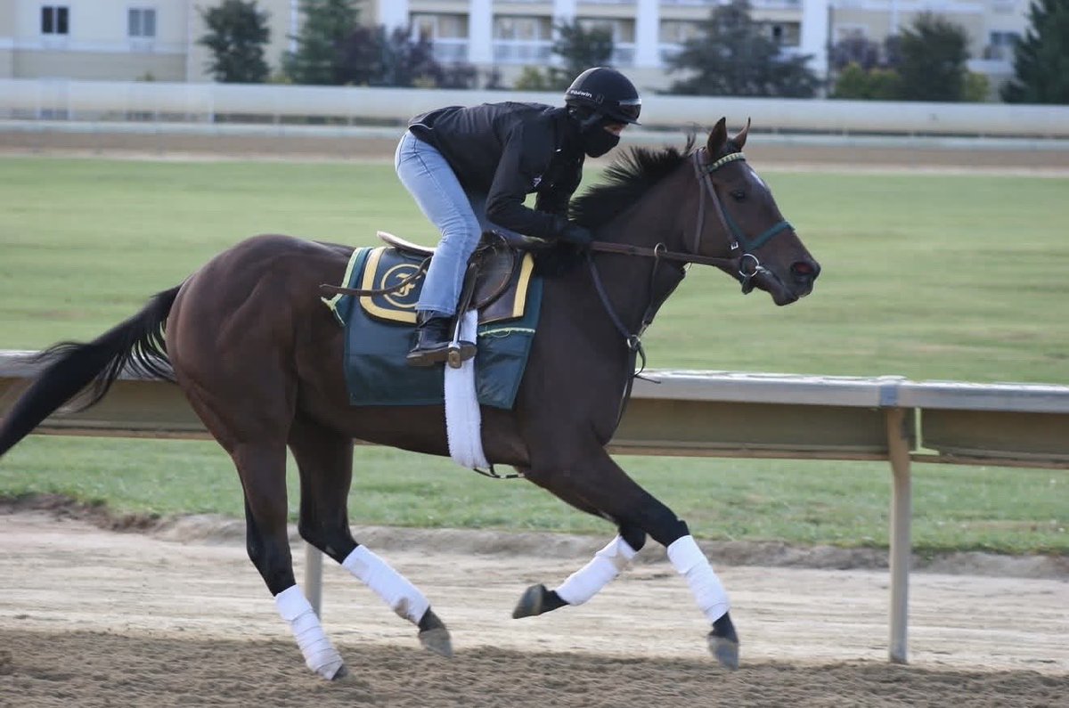 Kelsie Figgins tweet media