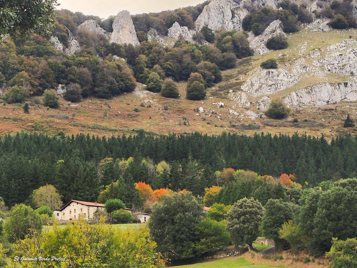 ¡Nuevo! El Valle de Aramaio, una preciosa postal alpina en el corazón de #Euskadi: cimas rocosas, bosques, praderas, pequeños núcleos urbanos y baserris singulares. El otoño es una época perfecta para visitarlo.
guisanteverdeproject.com/2025/10/valle-…