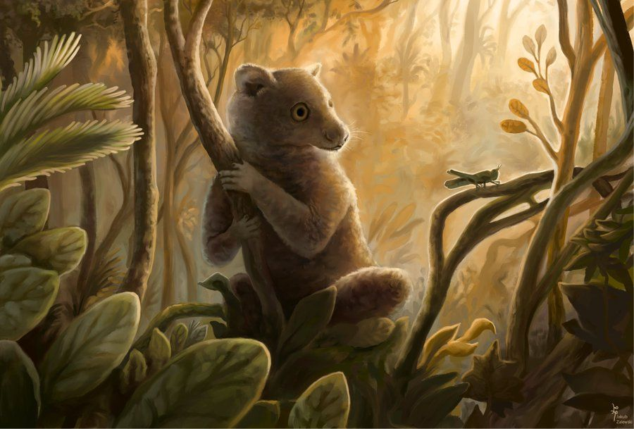 palaeophd's tweet image. Our research, “Exploring interrelationships between #fossil and extant #lorisids (Strepsirrhini, #Primates) and the question of their biogeographic origins”, has been accepted for a Poster at the @thepalass Annual Meeting 2025 🥳Palaeoart credit: Jakub Zalewski