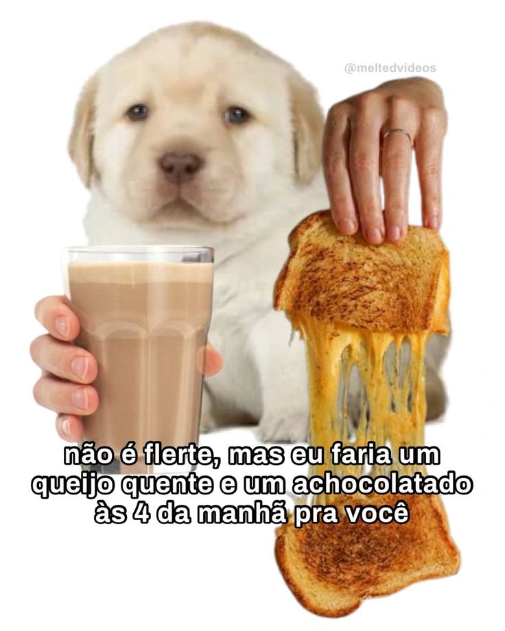 perfil dedicado a gatinhos e peitos (@odeiootaco) on Twitter photo 