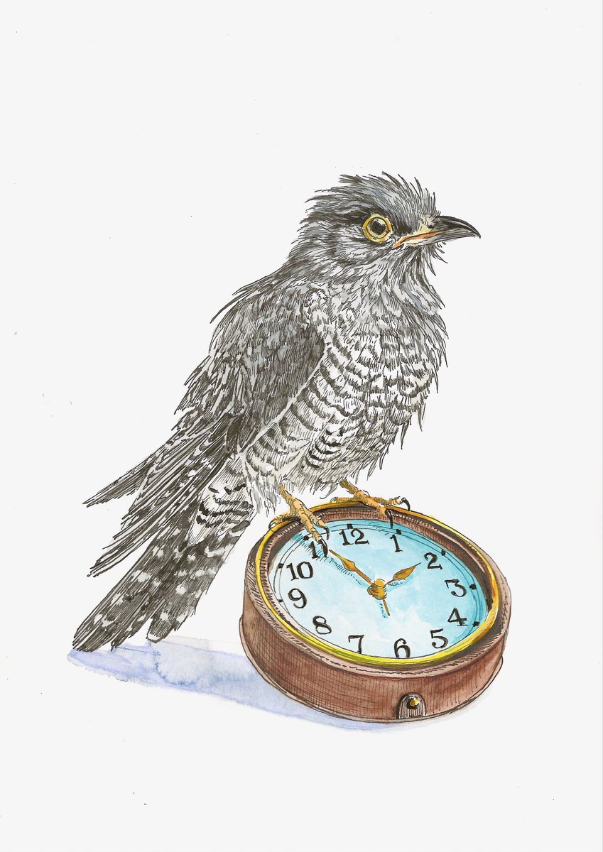 Het is wintertijd en ik ben helemaal koekoek door de tijd. 

‘Nu al moe’
29,7 x 21 cm
Inkt en aquarel op papier