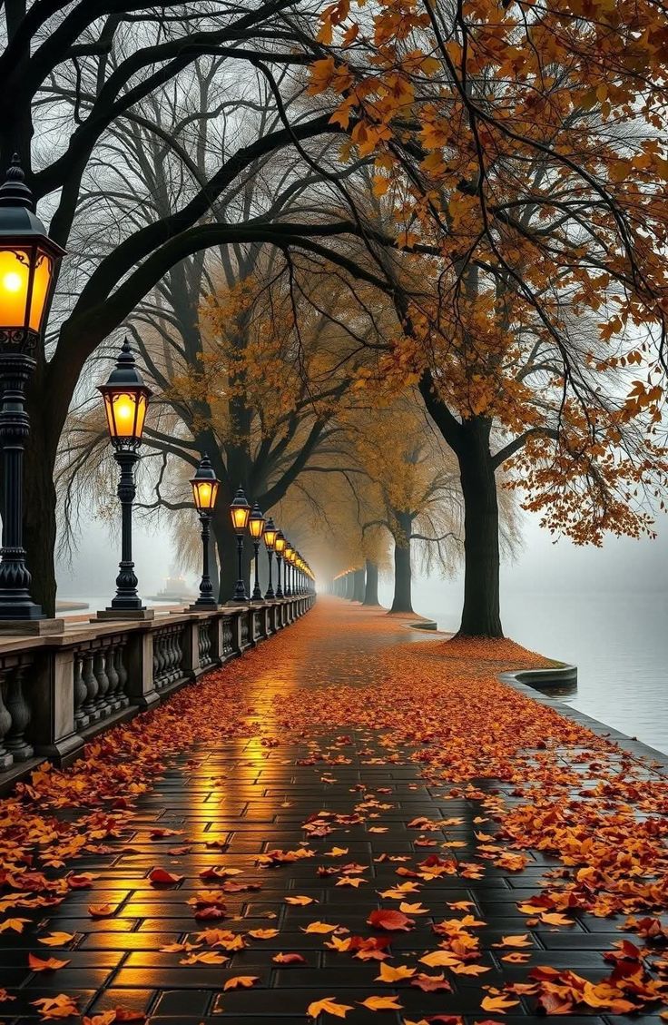 Mulla (@mulla9131) on Twitter photo 