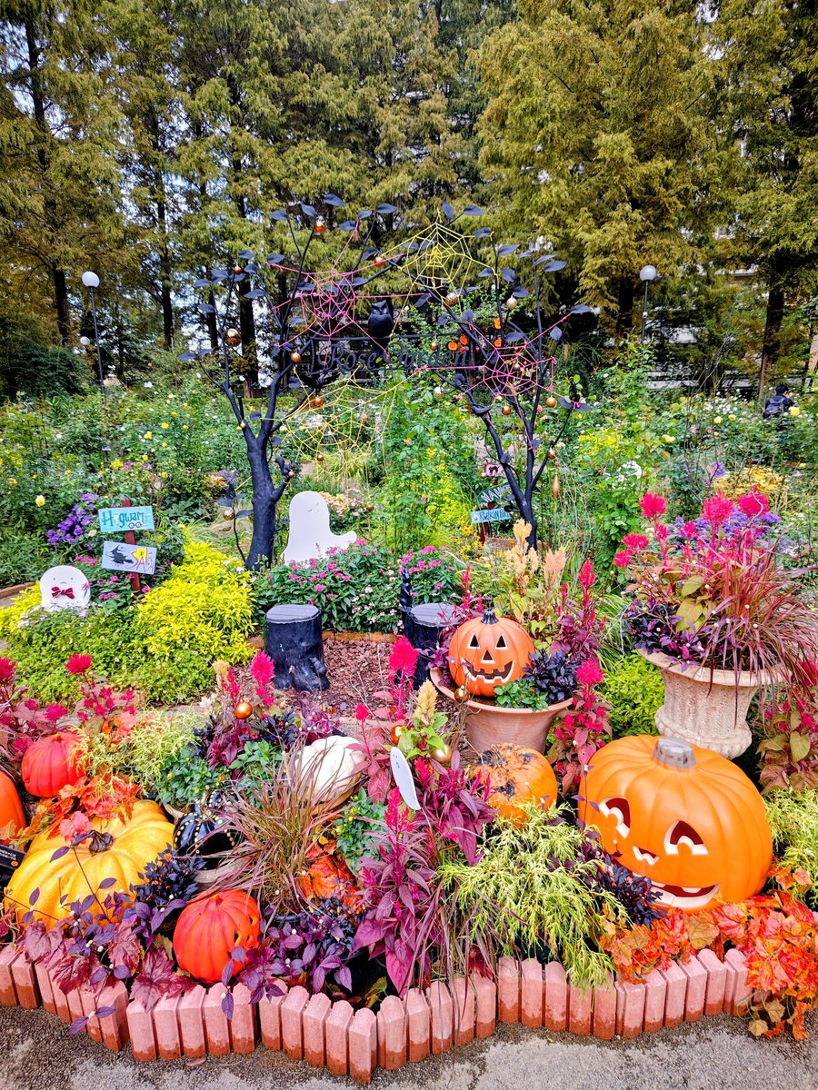 G*u様 ☘️お盆イベント☘️344 ⭐️超希少【いろは】【ぼかし】クリスマスロ DJ 爆裂 a.k.a.ばんばん∞ on X