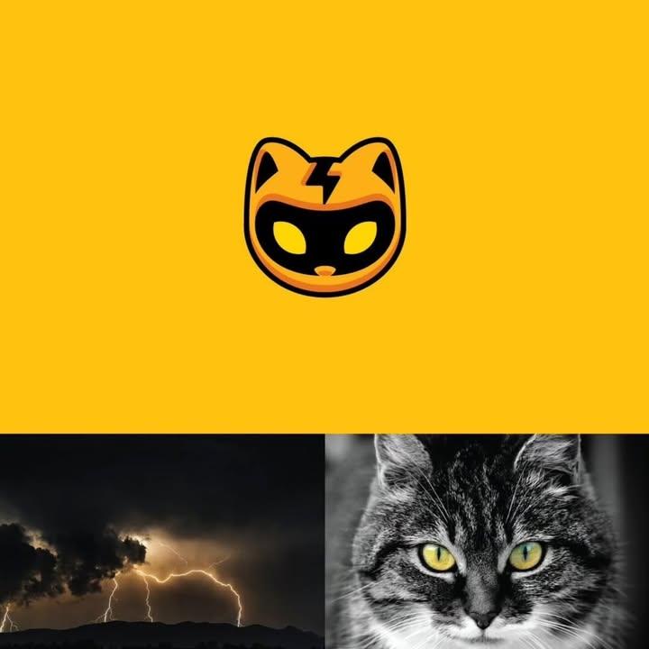 Imranmimran245M's tweet image. &amp;gt; I can post. I can edit.
But my graphics still don’t hit the algorithm 😭
Need a graphic designer who gets the vibe.
#CreatorCommunity #DesignCollab #VisualStorytelling