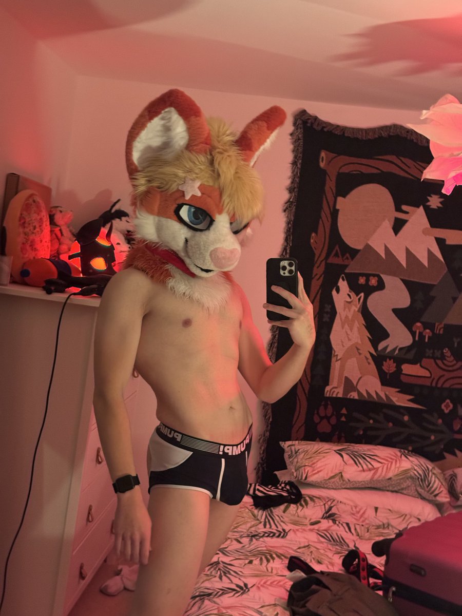 🇳🇱 Xavier 🐾 tweet media