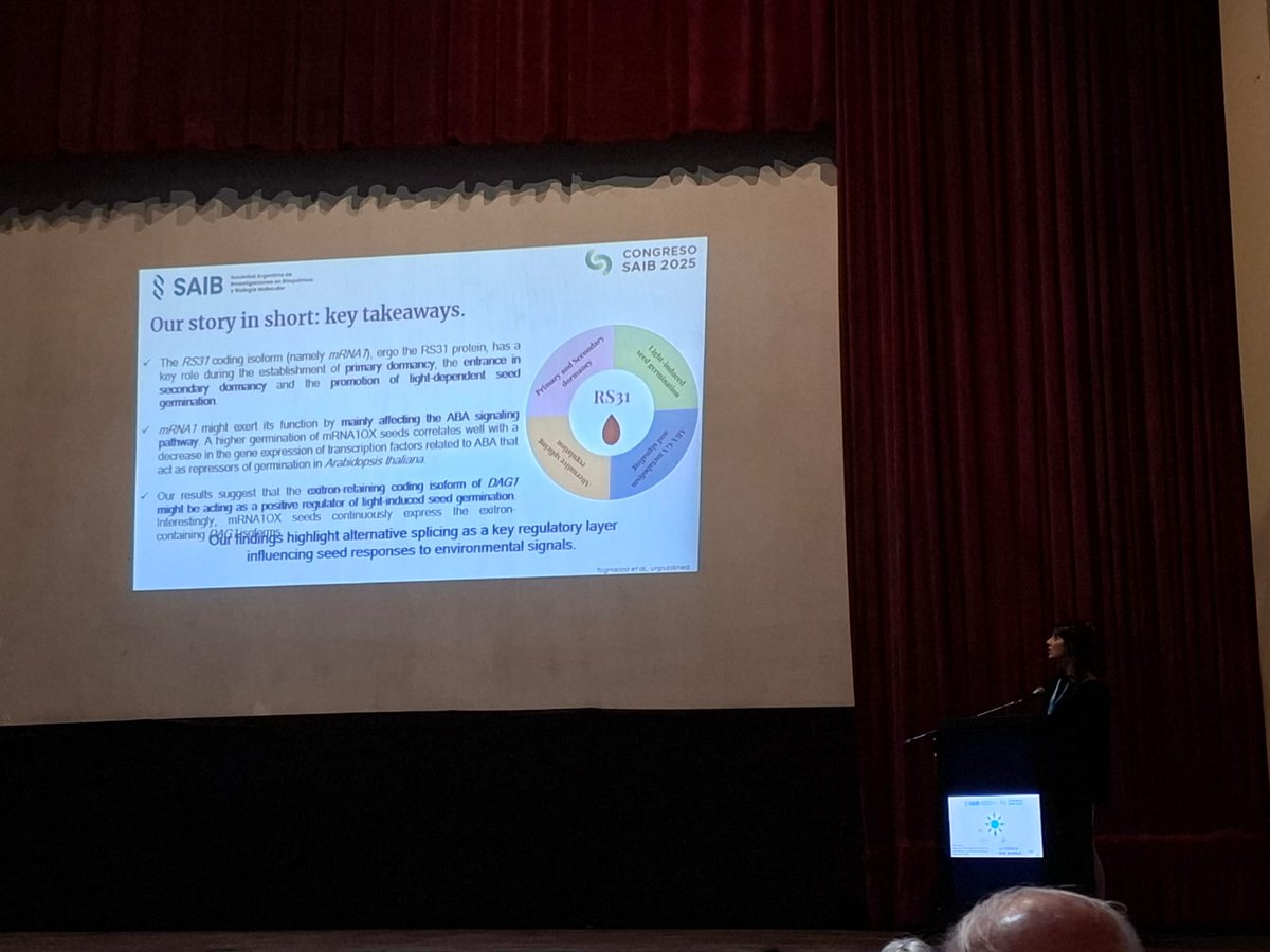 Rochi__26's tweet photo. Yesterday, I had the pleasure of giving a talk at the Young Investigators Symposia at the Congreso SAIB 2025 showing our results on #alternativesplicing in #seed #dormancy and #germination https://t.co/hu5F7XftkI