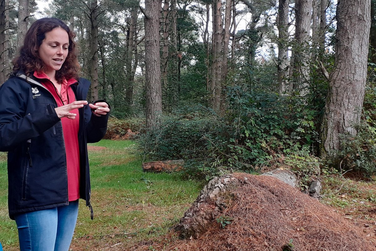 Last month, <a href="/nationaltrust/">National Trust</a> projects got involved in our Big River Watch and <a href="/Earthwatch_Eur/">Earthwatch Europe</a>'s Great UK WaterBlitz for a day full of citizen science and caring for our rivers.

Read their reflections in the latest blog on our website 👇

theriverstrust.org/about-us/news/…