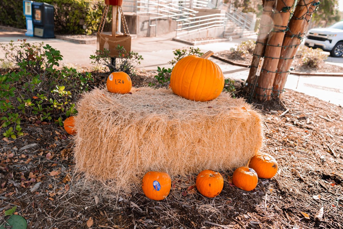 City of Longview tweet media