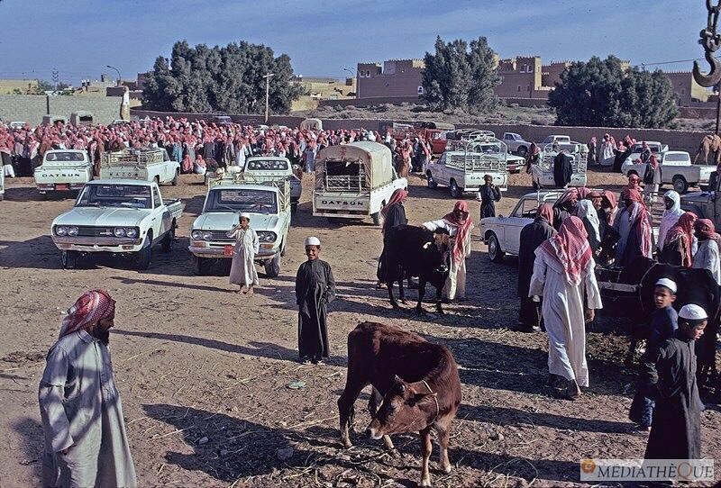 عبدالله السليمان tweet media