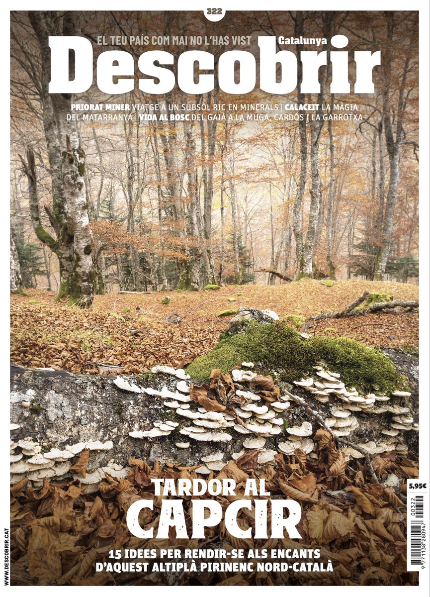 Aquest novembre ens enfilem a l’altiplà del Capcir: terra nord-catalana d’estanys freds, prats oberts i boscos que s’encenen a la tardor. Al dossier central del nou número hi trobaràs camins, pobles de pedra i miradors on la vall s’obre com un amfiteatre natural. Ja a la venda!
