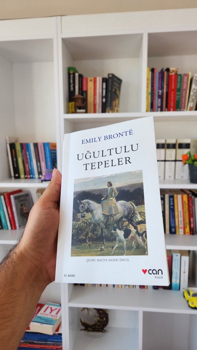 Son zamanlarda okuduğum gene çok kaliteli kitaplardan bir tanesi.  Kitaptaki karakterlerden hiçbirinin iyi bir özelliğini göremiyorsunuz. Klasik bir aşk hikayesi gibi görünse de geniş temalı harika bir kitap. Şiddetle tavsiye edilir.
