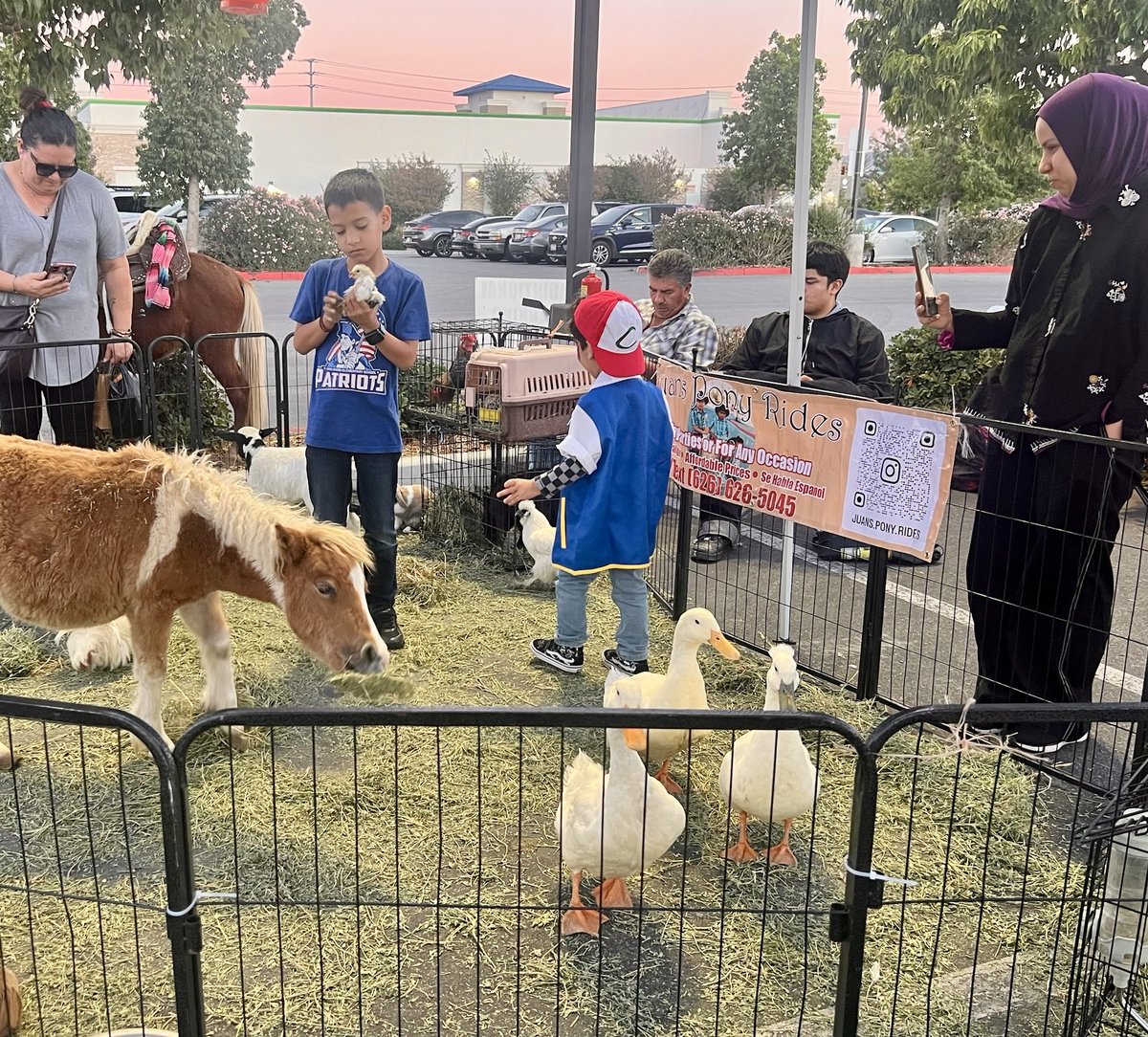 NormaJTorres's tweet photo. #TeamTorres had a great time joining in on the spooky fun at the Eastvale Collective Market! 🎃 Vendors served up delicious food, shared amazing artisan crafts, and handed out candy to all the trick-or-treaters. https://t.co/khL63lVt5e