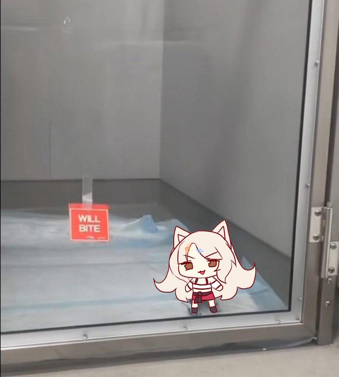 #VtuberSupport #VtuberEN #vtuberES