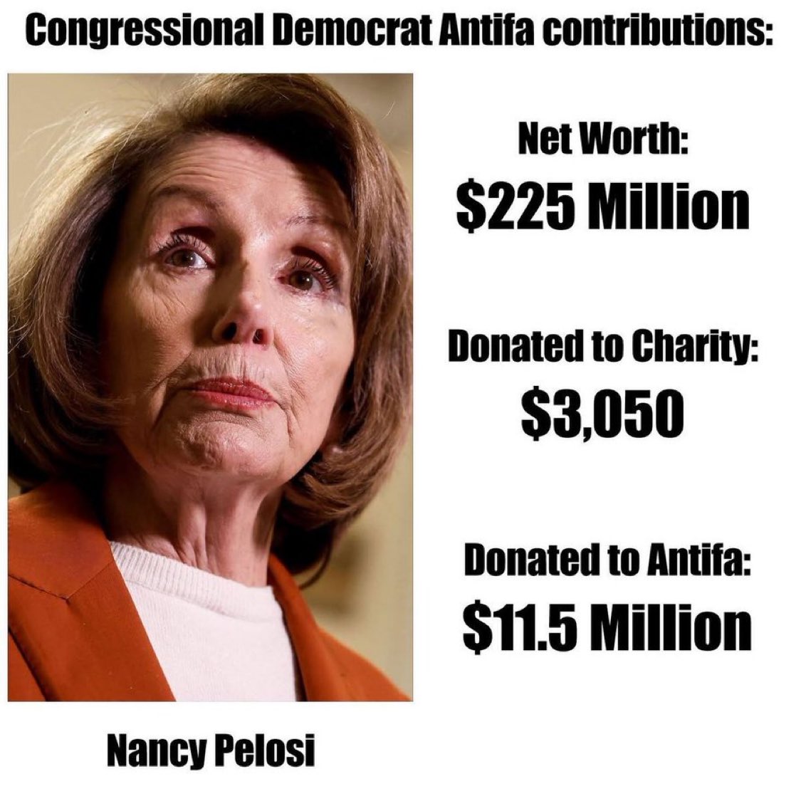 That’s Nancy. Domestic Terrorist!
