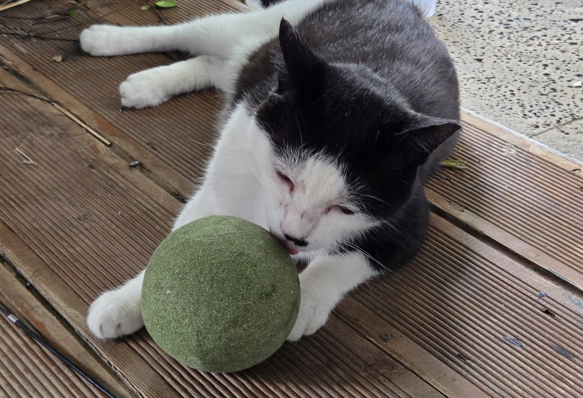 귀여운거 보세요