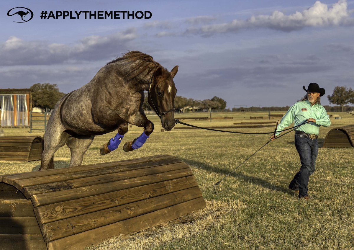 DownunderHorse's tweet image. Whether you’re struggling with communication or looking to deepen your bond with your horse, Method Ambassador Ken Trahan knows how to guide you to find that “aha” moment.
certifiedclinician.com/clinician/kenn…
#ApplyTheMethod