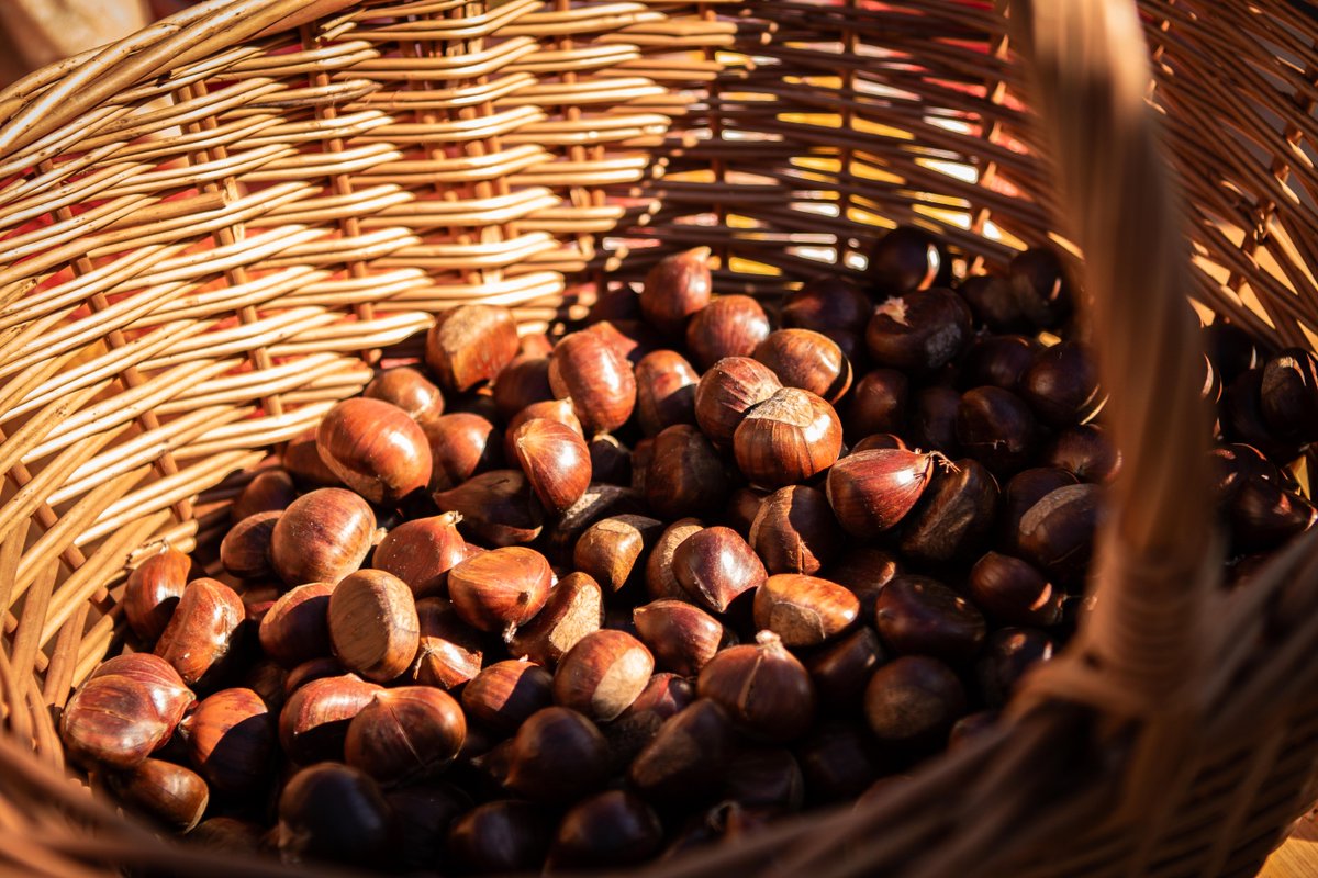 Last week, as autumn returned to Valsesia and the scent of roasted chestnuts filled the air, we gathered for our first Castagnata Gessi, a local tradition that became a moment of genuine connection among colleagues and the community. #Gessi