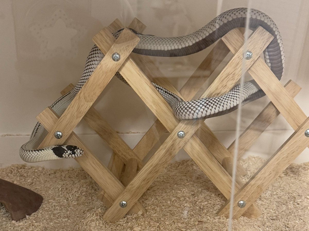 요즘 날씨가 쌀쌀해져서 전보다는 좀 덜 나대는 온리