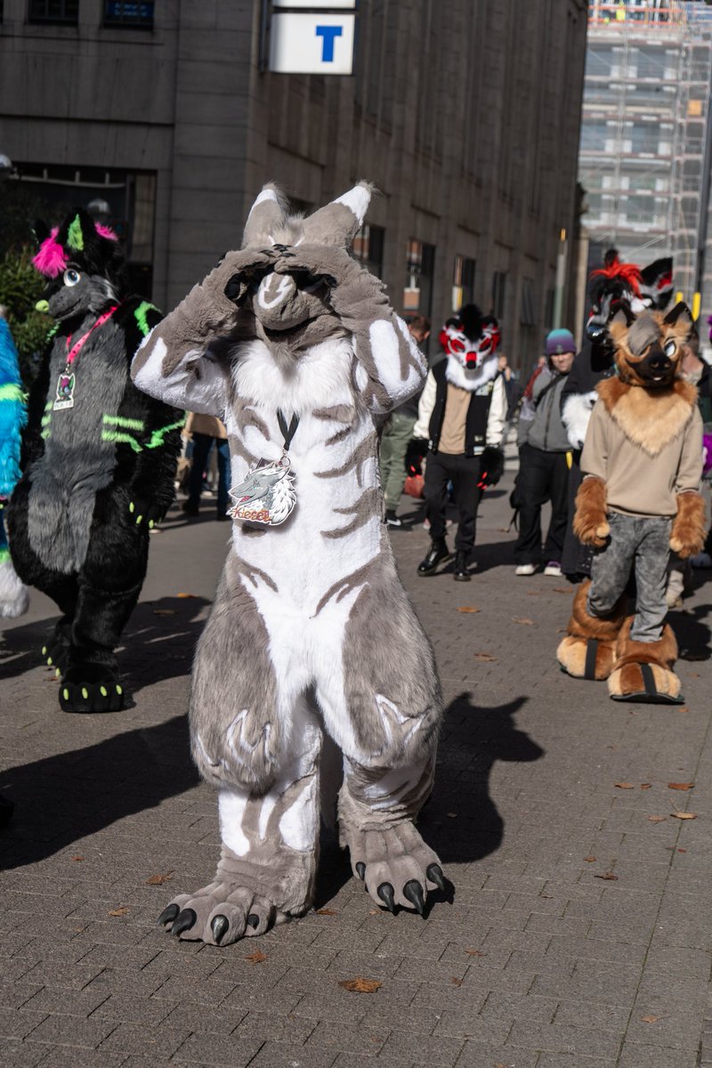 It's bloody sunny here, merp!! 😎
📸 <a href="/MartikoFusky/">MartikoFusky</a> 
🧵 <a href="/Shiryudesign_de/">Shiryudesign</a>
#sergal #furry #fursuit