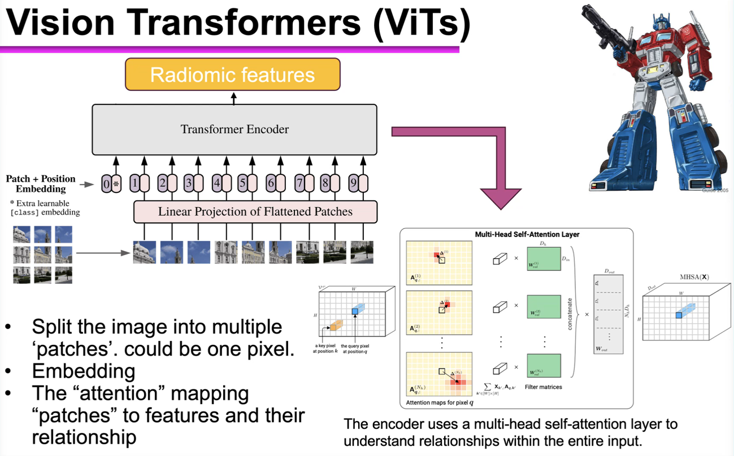 NCICAPIT's tweet image. At today’s #CAPIT Bioinformatics &amp;amp; Computational Biology WG meeting, Dr. Chi Zhang of @UNLincoln presented his work on AI-powered image feature extraction and data synthesis in pancreatic cancer.
