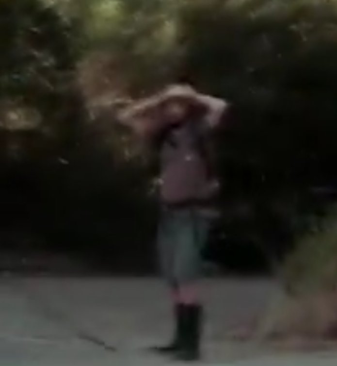 <a href="/UnPejelagarto7/">🦎Chenrei🦎</a> Mi yo de niño si lo hubiera visto: