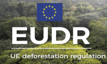 Industrie Papetière tweet media