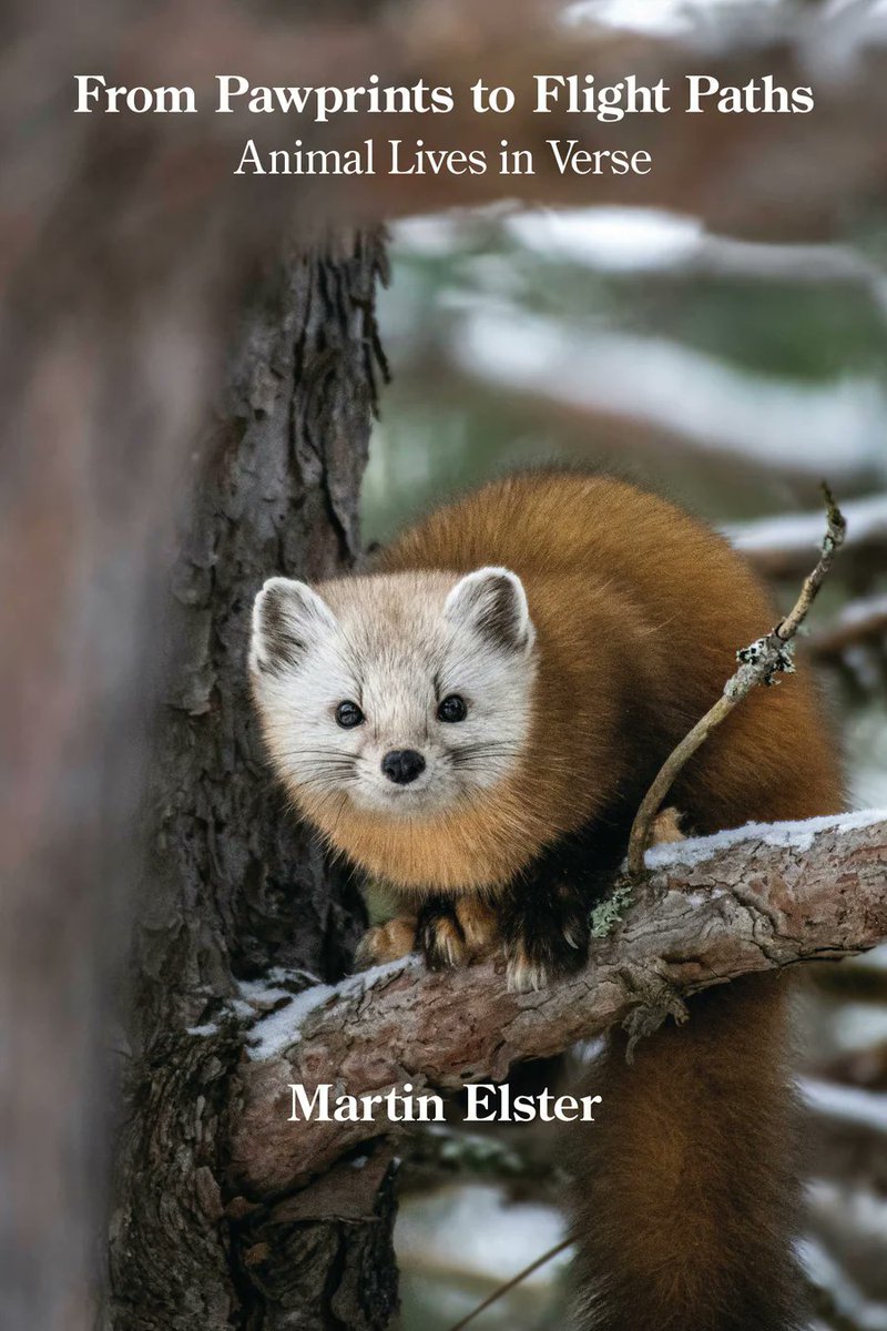 kelsaybooks.com/products/from-…