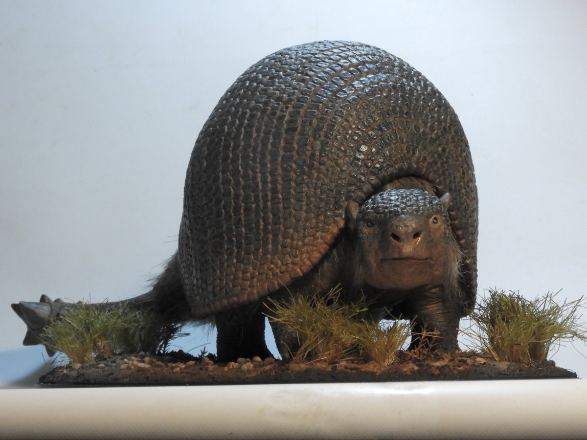 dinoesculturas's tweet photo. #Doedicurus 1/10 scale sculpture, epoxy clay. Commissioned https://t.co/t0tB9SQ40u