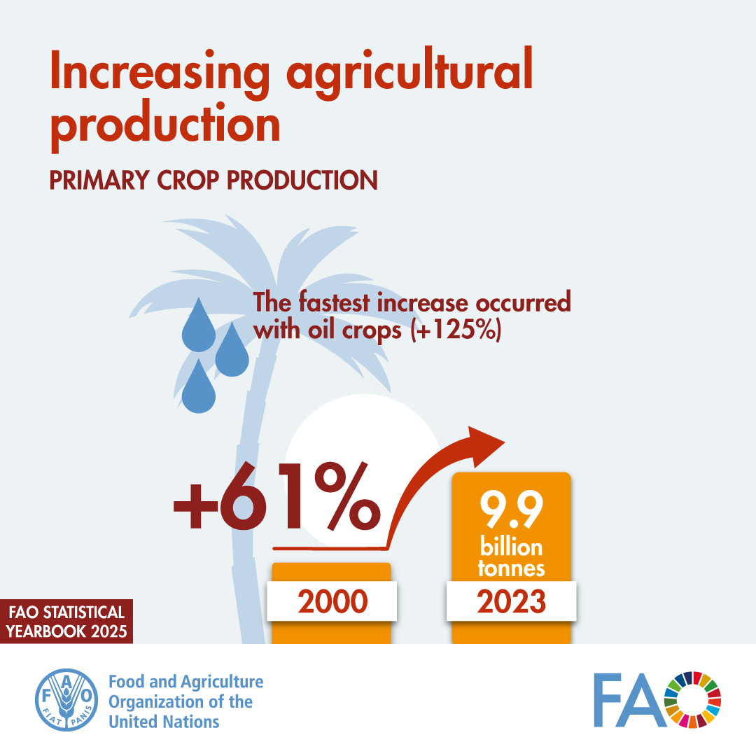 The Statistical Yearbook : World Food and Agriculture 2025 is out!

Learn how agricultural primary crop production has📈 by 61% since 2000 ... &amp; much more!

Download YOUR copy today👇

📕doi.org/10.4060/cd4313…