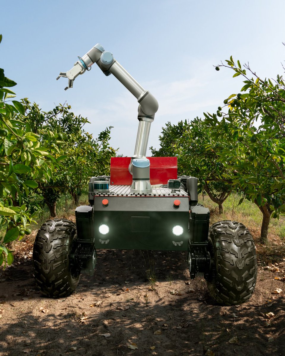 🤖 Can autonomous harvesters solve labor shortages &amp; boost efficiency in produce? The tech is advancing—but hurdles remain.

Will it reach the goal line? 🧑‍🌾🚜

thepacker.com/news/industry/…

#TIPA #TexasProduce #FreshProduce #AgTech #AutonomousHarvest #Innovation