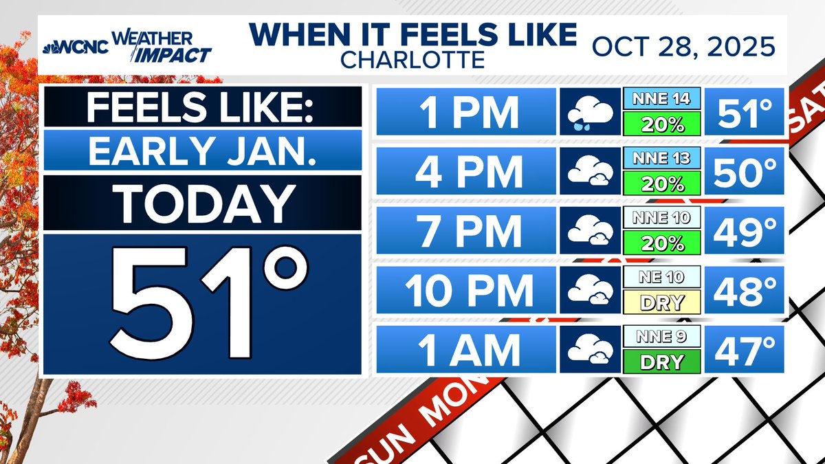 Today high has been 51° so far making it feel like an early January day 🧊