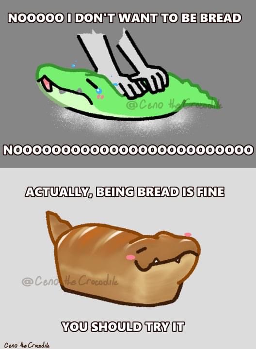 I heard bread was trending on the tick tocks 🍞🥖🐊