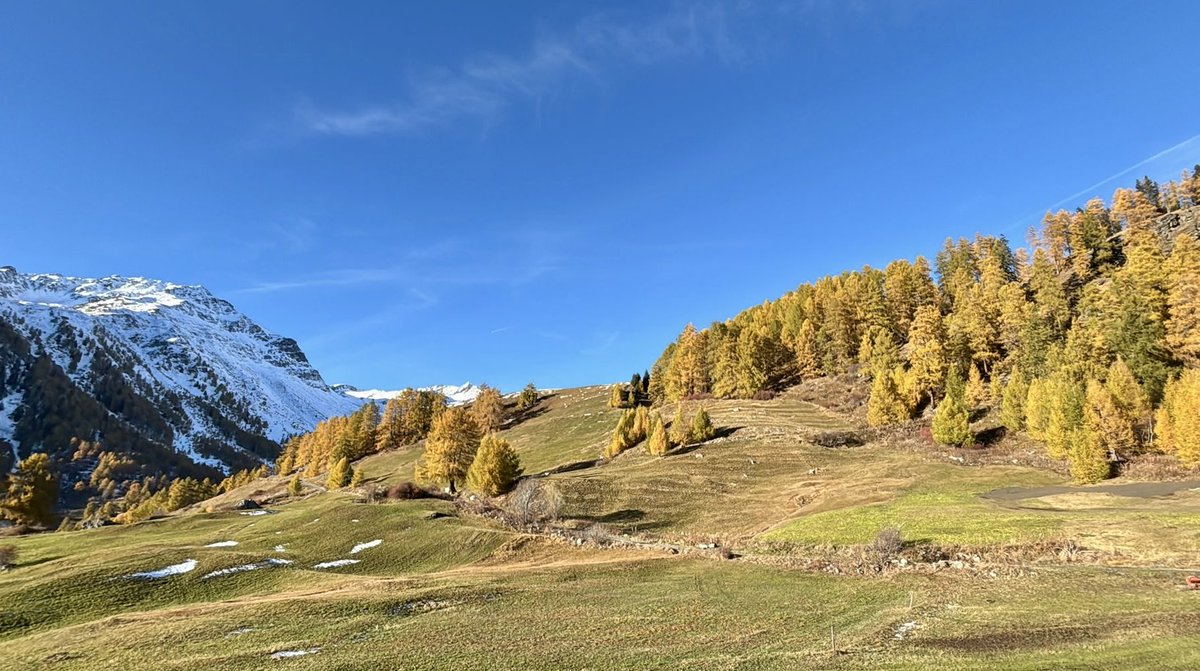Und zack, wieder Herbst. #engadin