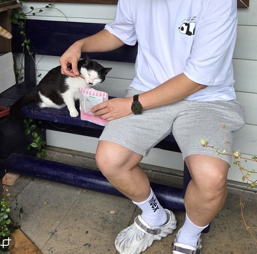 제일 좋아하는 사진 귀여워
누구보다 간식을 좋아하면서 대장이라고 먹다가 양보하고 양보하고 주변에 야옹이 없을때 슬쩍 와서 간식 달라고 하더니 편하게 먹고감