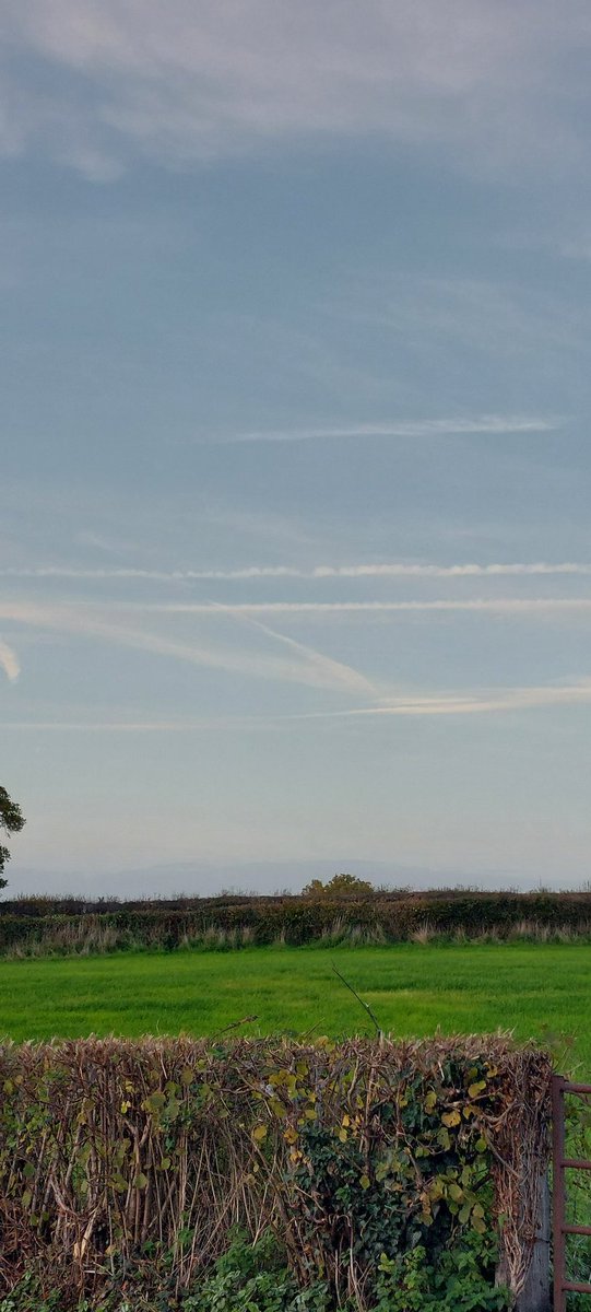 Asthma kicks off... oh what a surprise #Chemtrails #NHS 
The government are knowingly making me ill