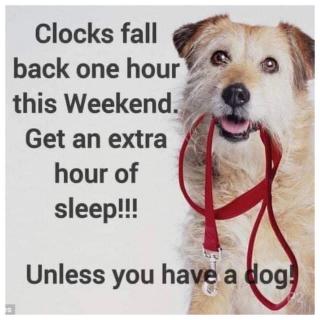 Don't forget that Daylight Savings Time ends on Sunday, November 2nd. Be prepared to change your clocks back 1 hour. It's also a great time to check the dates on and the batteries in your smoke alarms. Change your batteries often and replace your detector if it is 10 years old!