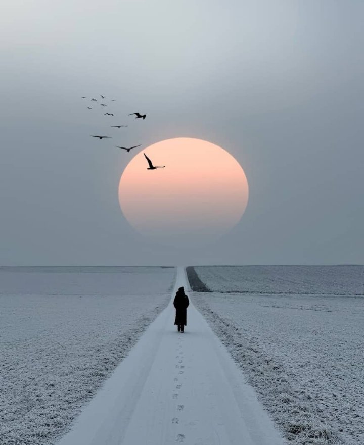 HamamiloMoses's tweet photo. My soul is my guide. https://t.co/dSnzYFLPFf