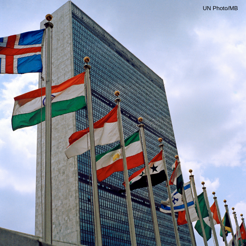 UNLibrary's tweet image. ¿Cuál es la diferencia entre la composición y la participación de los miembros en el marco de la @ONU_es ? 

#AskDag: ask.un.org/es/faq/248122