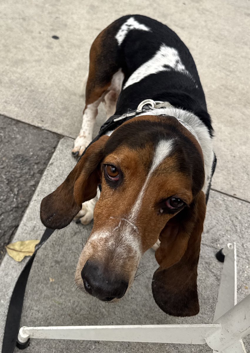 Good morning 🔥😎