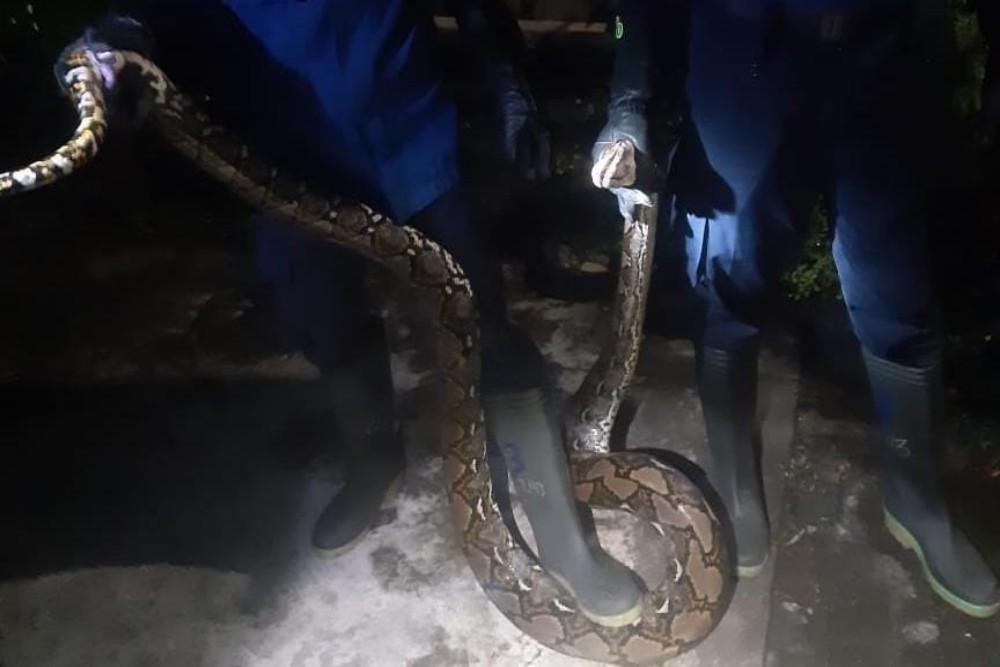 Izhevsk jinsiy aloqa qilishni xohlaydi Seks hikoyalari meni mast qildi